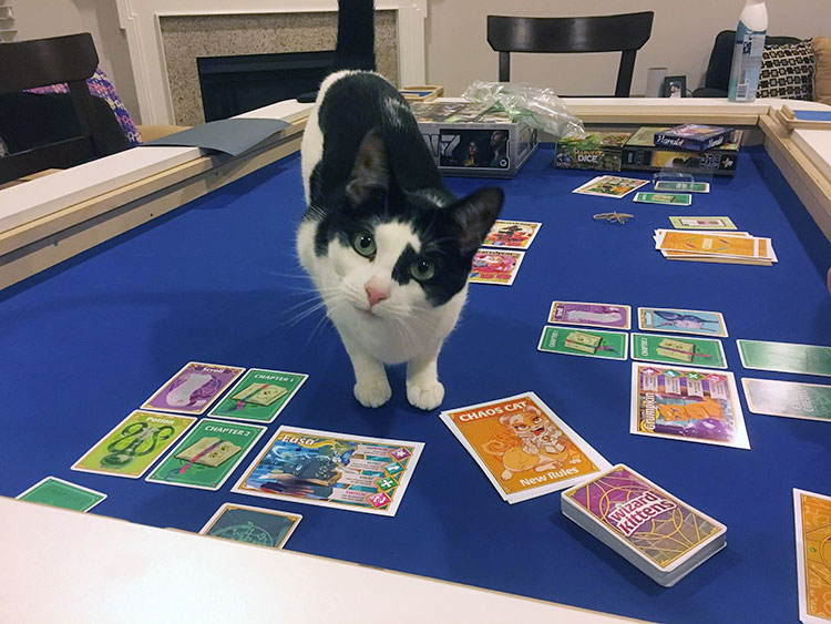 Wizard Kittens Cat Tax