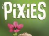 Pixies